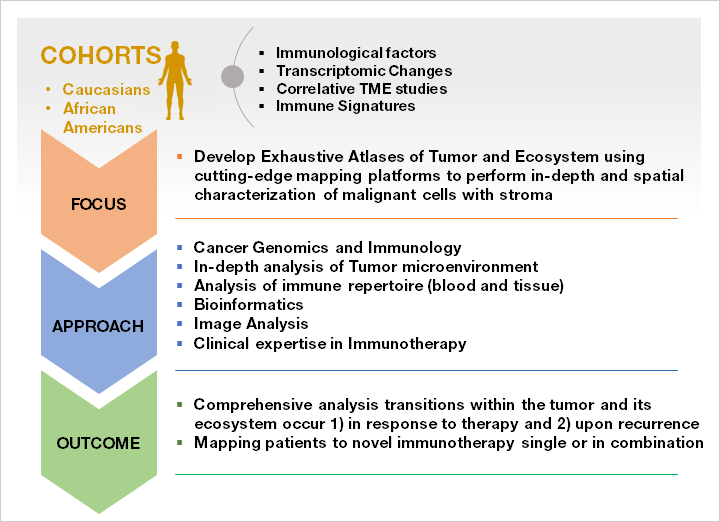 immunotherapie